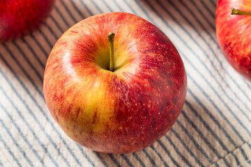 Organic Raw Red Envy Apples