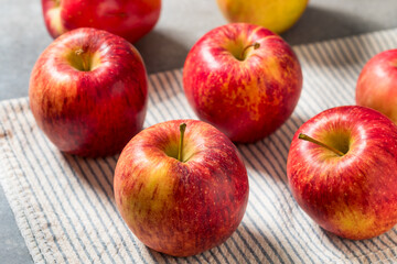 Organic Raw Red Envy Apples