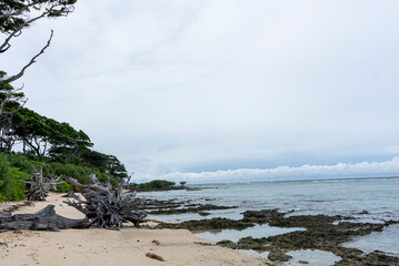 A coastline stretches endlessly, waves shaping land with timeless rhythm. An island rises solitary, surrounded by sea, holding secrets of nature, solitude, and boundless horizon’s charm.