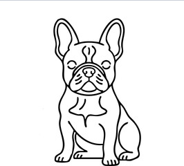 english bulldog puppy