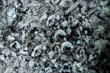 Fire in the barbecue, firewood is burning