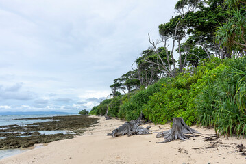 A coastline stretches endlessly, waves shaping land with timeless rhythm. An island rises solitary, surrounded by sea, holding secrets of nature, solitude, and boundless horizon’s charm.