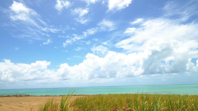 A beautiful blue sky with fluffy white clouds over a field of tall grass