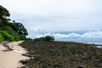 A coastline stretches endlessly, waves shaping land with timeless rhythm. An island rises solitary, surrounded by sea, holding secrets of nature, solitude, and boundless horizon’s charm.