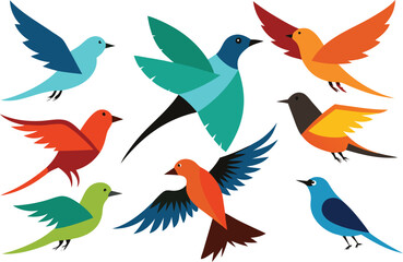 Diverse vector bird collection scalable eps illustration for graphic design projects isolated on transparent background