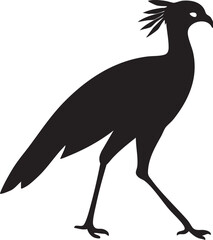 Striking black silhouette of a crested bird walking gracefully isolated on white background silhouette