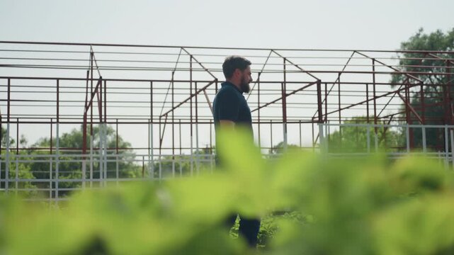 close up green leaves foreground with side view of horticulturist walking with crate and plier in hand past metal frame structure in field showing plant care and inspection dedication