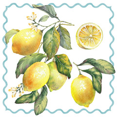 Watercolor illustration of a lemon fruit branches, hand-painted isolated clip art. Inspired by the timeless Mediterranean aesthetic of the Amalfi Coast. Perfect for summer-themed prints, packaging