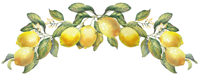 Lemon fruit branches. Horizontal wreath inspired by the timeless Mediterranean aesthetic of the Amalfi Coast. Perfect for summer-themed prints, packaging, textiles, kitchen decor, and coastal design