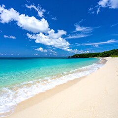 Fototapeta premium Tropical beach scene (2)