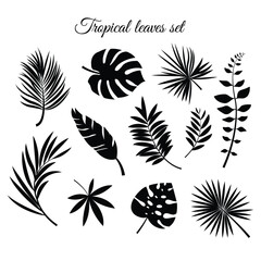 Hand drawn tropical leaf collection for exotic designs