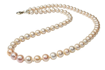 Obraz premium Shiny pearl necklace isolated on AI Generated