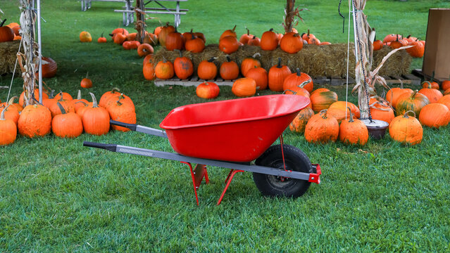 Red cart and pumpkins arrangement in the lawn at the farm in Michigan uring autumn .