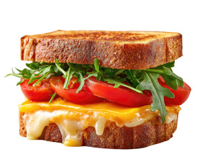 Melted cheese sandwich with sliced tomatoes and greens