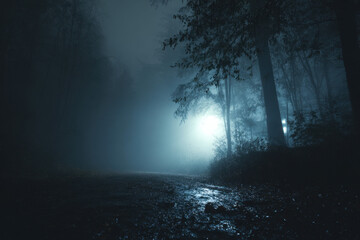 A mysterious and eerie foggy forest path at night, illuminated by a distant light source, creating a haunting atmosphere.