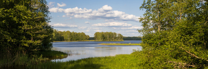 Beautiful summer landscape. Panoramic view of the lake and forest. Lake among the trees. Traveling and hiking. Ecological tourism and outdoor activities. Lake Russkoe, Novgorod region, Russia.