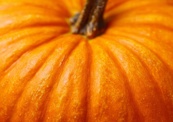 A close-up, macro shot of the textured surface of a bright orange pumpkin, highlighting its ribbed pattern and stem.
