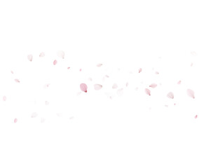 Minimal Pink Petal Vector Background For Cosmetic Packaging And Ads