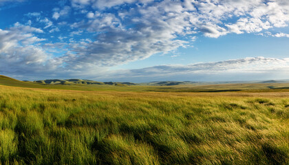 Obraz premium Vast Grassy Plain Under A Partly Cloudy Sky