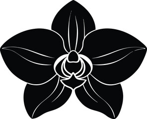 Orchid Flower Silhouette | Tropical Bloom Vector Art