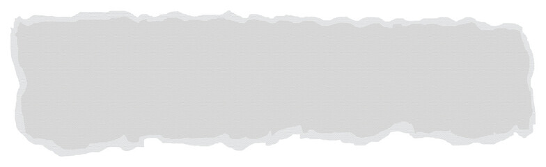 torn paper with texture, ripped paper with edges isolated on transparent background
