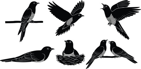 Swallow bird illustrations, flying, perched, singing, nesting, black vector silhouette art, nature, wildlife design