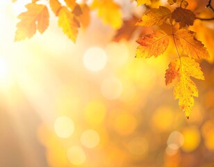 Blurred fall foliage bokeh backgrounds (great for text overlays).
