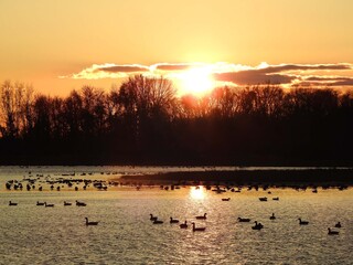 The tranquil beauty of the wetlands, as the sun sets. Bombay Hook National Wildlife REfuge, Kent County, Delaware. 