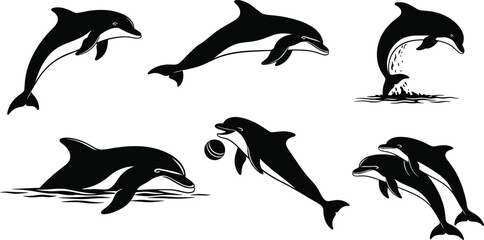 Dolphin silhouette illustration set, swimming pose, leaping motion, diving splash, ball play, social behavior, vector design