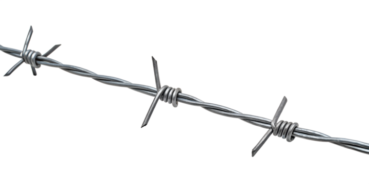 Barbed Wire in Close-Up: A sharp, silvery length of barbed wire is captured in a close-up shot, showcasing its spiky design against an unfussy background.