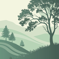 Soft Flowing Organic Gradient