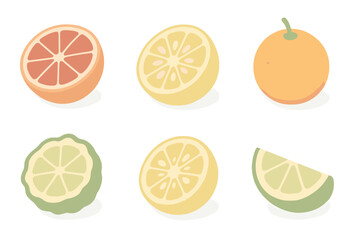 Exotic Citrus Collection. Isometric vector illustration set of exotic citrus hybrids: blood orange half, yuzu slice, calamansi cut