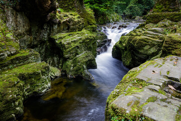 A stream flowing through the forest mountain in Northern Ireland
