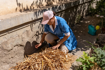 Retired woman wearing glasses, blue work coat, and pink baseball cap squats near iris leaves that she is drying to weave into crafts for her home.