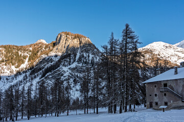  France - Peisey-Nancroix - Mine Palace - Snowy valley with alpine trees and mountains