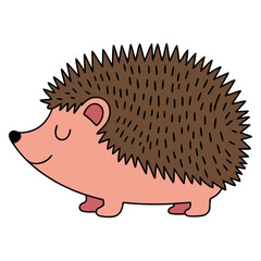Isolated porcupine animal flat icon vector illustration spiky mammal design perfect for wildlife mascot logo or educational decoration artwork