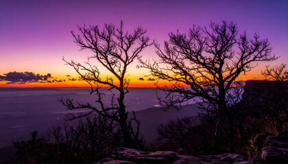 Silhouetted trees stand against a vibrant sunset over the ocean, creating a peaceful and serene scene with colorful skies and calm waters.