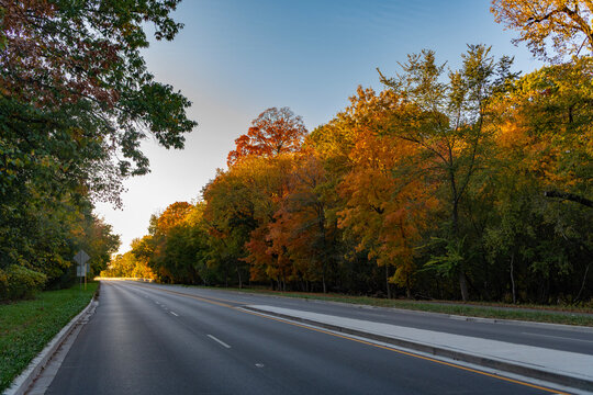 Autumn Road