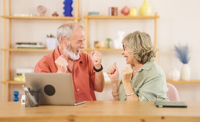 Excited senior couple celebrating success while using laptop at home