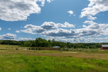 Naklejka premium Sunny rural landscape with green fields and clouds