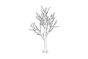 Hand-Drawn Style Bare Tree Line Art, Isolated 64x64 Single Icon, ideal for adding an artistic and natural touch to illustrations or digital projects.