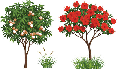 Obraz premium Illustration of tropical lychee fruit tree with ripe red fruits and hibiscus tree full of bright red blooming flowers
