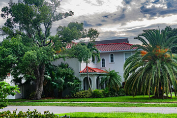 private Florida villa surrounded by exotic trees and rich landscaping. Bright skies and manicured lawn enhance this luxury residence.