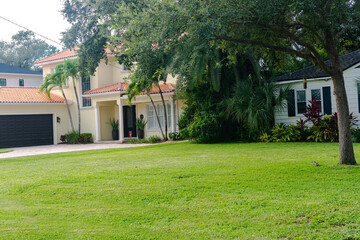 Classic Florida villa with exotic greenery and spacious yard. Calm suburban setting with vibrant vegetation.