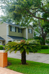 Serene residential villa with tropical plants and green vegetation. Peaceful neighborhood setting under blue skies.