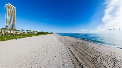Calm Ocean and Palm-Lined Shore in Iconic Miami Coastal Scene
