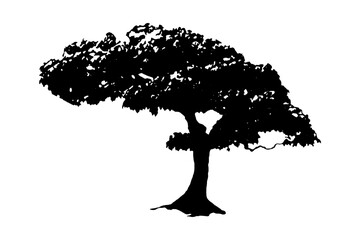 Sturdy Deciduous Tree Silhouette with Broad Canopy, Isolated 64x64 Single Icon, symbolizing growth, nature, and environmental health.