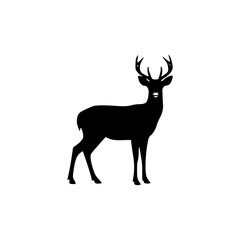Obraz premium Silhouette of a deer with antlers standing on a white background.