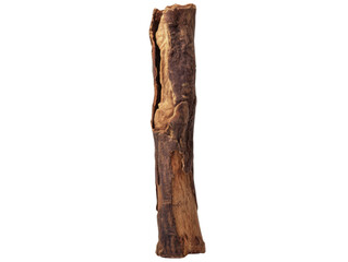 Natural Rustic Wooden Log for Decoration or Craft Projects