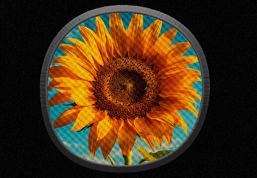Yellow And Blue Realistic Embroidered Patch Photo Effect